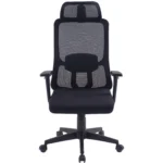 Ghế lưới ngả lưng GL356 | Dòng ghế cao cấp, cực êm ái - Ảnh 2